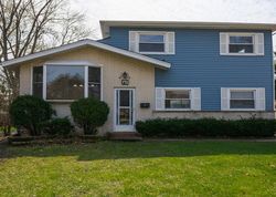 Foreclosure Listing in WAIKIKI DR DES PLAINES, IL 60016