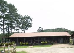 Foreclosure in  COUNTY ROAD 63 N Carbon Hill, AL 35549