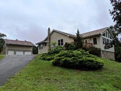 Foreclosure Listing in MILL CREEK CIR PULASKI, VA 24301