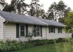 Foreclosure in  CHESTNUT RD Roscommon, MI 48653