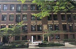 Foreclosure in  E ELM ST B Chicago, IL 60611