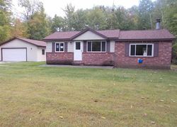 Foreclosure Listing in HENDERSON LAKE DR LUPTON, MI 48635