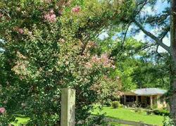 Foreclosure in  FREDONIA RD Stanton, TN 38069