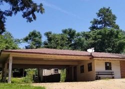 Foreclosure in  TURNER CHAPEL RD Raleigh, MS 39153