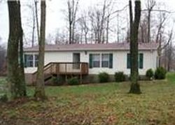 Foreclosure Listing in GOODMAN LN CEDAR HILL, TN 37032