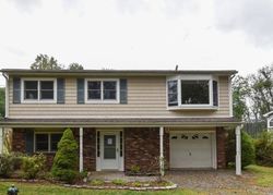 Foreclosure in  FLANDERS NETCONG RD Flanders, NJ 07836