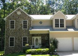 Foreclosure Listing in LYNN RIDGE CT MANCHESTER, MD 21102