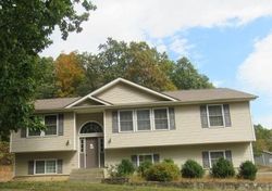 Foreclosure in  HUCKLEBERRY TPKE Wallkill, NY 12589