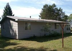 Foreclosure in  9 MILE RD Reed City, MI 49677