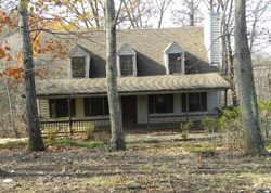 Foreclosure Listing in VIEW DR GOODVIEW, VA 24095