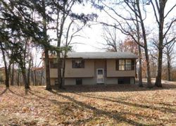 Foreclosure Listing in TOWER RD HILLSBORO, MO 63050