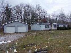 Foreclosure Listing in ALGER RD ALGER, MI 48610