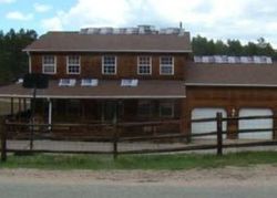 Foreclosure in  NOVA RD Pine Grove, CO 80470