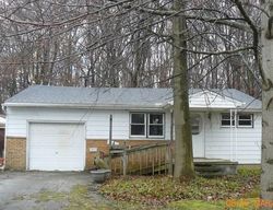 Foreclosure Listing in S EAGLE ST GENEVA, OH 44041
