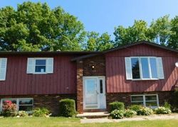 Foreclosure Listing in BUSHNELL RD CONNEAUT, OH 44030