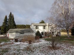 Foreclosure in  BEAULEAU LAKE RD Gresham, WI 54128