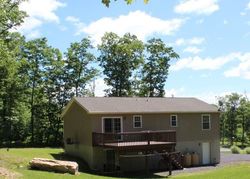 Foreclosure Listing in MOUNTAIN RD DRUMS, PA 18222