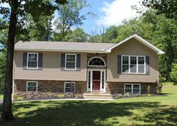 Foreclosure Listing in MOUNTAIN RD DRUMS, PA 18222