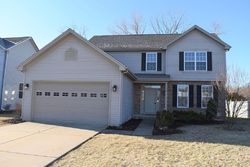 Foreclosure in  BRASSFIELD AVE Romeoville, IL 60446