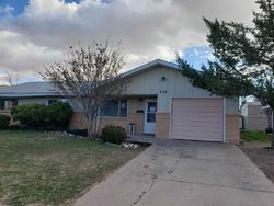 Foreclosure in  SWINGING SPEAR RD Roswell, NM 88201