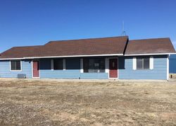 Foreclosure Listing in EASTLAKE DR SPRING CREEK, NV 89815