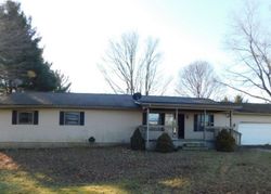 Foreclosure in  FOWLER RD Horton, MI 49246