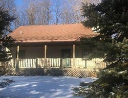 Foreclosure in  E 7 MILE RD Luther, MI 49656