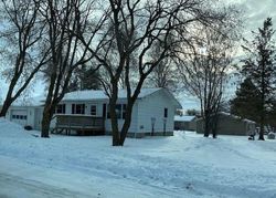 Foreclosure in  E NELSON AVE Newfolden, MN 56738