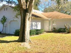 Foreclosure in  PINE MEADOW CT Tampa, FL 33624