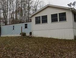 Foreclosure in  N GROW RD Stanton, MI 48888