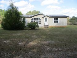 Foreclosure in  RACCOON RD Pelham, GA 31779