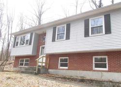 Foreclosure in  PINE RIDGE DR Hopewell Junction, NY 12533