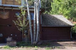 Foreclosure in  COUNTY ROAD 17 Ridgway, CO 81432