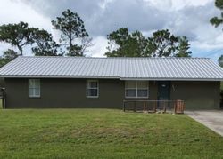 Foreclosure Listing in PEACOCK AVE LAKE PLACID, FL 33852