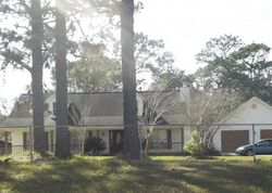 Foreclosure in  LEE BISHOP RD Irvington, AL 36544