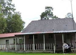 Foreclosure in  CAIN RD Anahuac, TX 77514