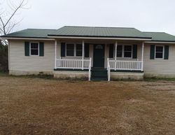 Foreclosure in  ANTIOCH CHURCH RD Climax, GA 39834