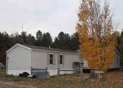 Foreclosure in  HAHN CIR NW Rapid City, MI 49676