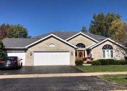Foreclosure in  LARKSPUR LN Matteson, IL 60443
