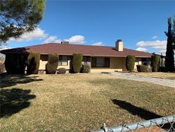 Foreclosure in  CIBOLA RD Apple Valley, CA 92308
