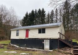 Foreclosure Listing in BLOYE RD FRANKLINVILLE, NY 14737