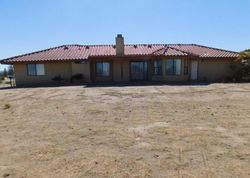 Foreclosure Listing in BONANZA RD PHELAN, CA 92371