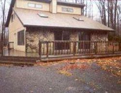 Foreclosure Listing in LONG PINE DR TOBYHANNA, PA 18466