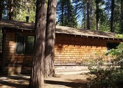 Foreclosure in  EL CAMINO DR Pollock Pines, CA 95726