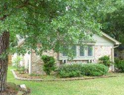 Foreclosure in  SPRING LAKE DR Houston, TX 77070