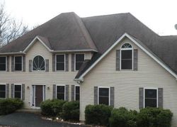 Foreclosure Listing in POPLAR CREEK RD EFFORT, PA 18330