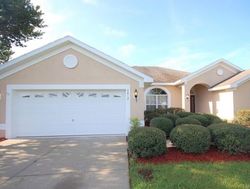 Foreclosure Listing in SE 99TH LN BELLEVIEW, FL 34420