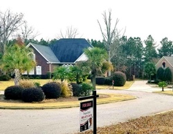 Foreclosure in  BLUE WING DR Gilbert, SC 29054