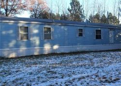 Foreclosure in  N RIVER RD Danbury, WI 54830