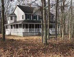 Foreclosure in  THORIN WAY Tamiment, PA 18371